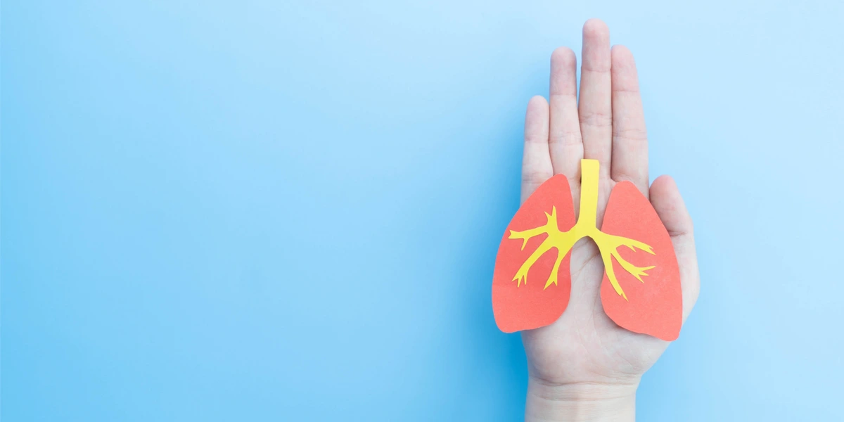 COPD Pathophysiology: A Simple Guide to How COPD Affects Lungs